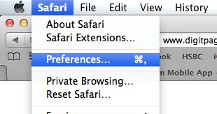 Safari preferences